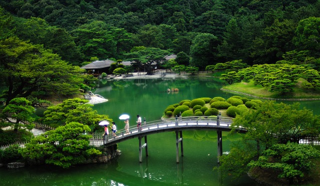 Japonská zahrada.jpg