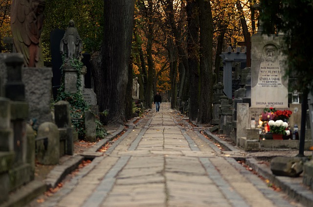 cesta hřbitovem